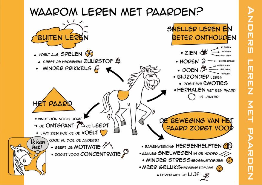 waarom leren met paarden infographic